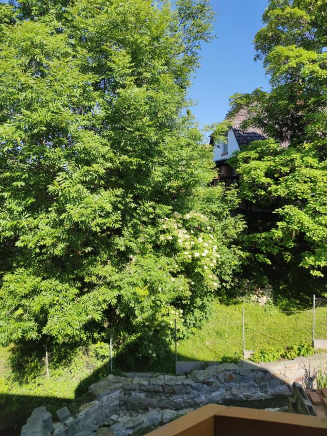 Fertőboz Malomkerek Vendeghaz B&B 외부 사진